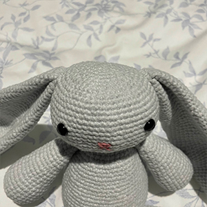 front view of ears sewn onto head