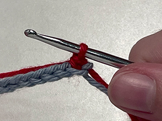 crocheting into chain step 5