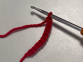 crocheting into chain loop step 1