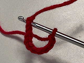 crocheting into chain loop step 1
